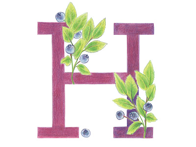 H is for Huckleberry colored pencils fruit fruit letter hand drawn hand lettered hand lettering handlettering healthy huckleberry illustration kids illustration typography typography art