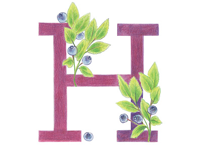 H is for Huckleberry