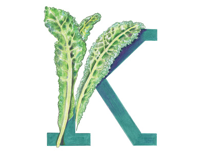 K is for Kale alphabet colored pencils hand drawn hand letter handlettering illustration kale kids illustration lettermark typography art