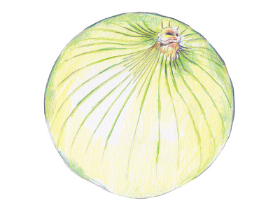 O is for Onion