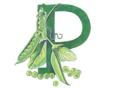 P is for Peas alphabet colored pencils hand drawn handlettering healthy illustration kids illustration typography typography art veggie