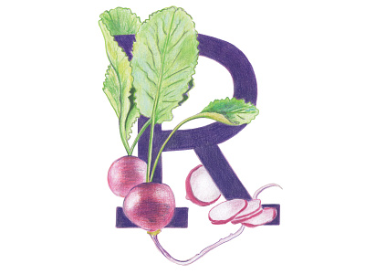 R is for Radish