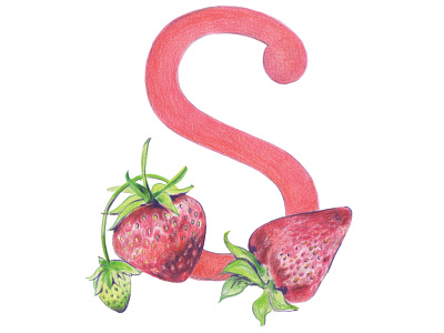S is for Strawberry alphabet colored pencils fruit fruit letter hand drawn handlettering healthy illustration kids illustration typography typography art