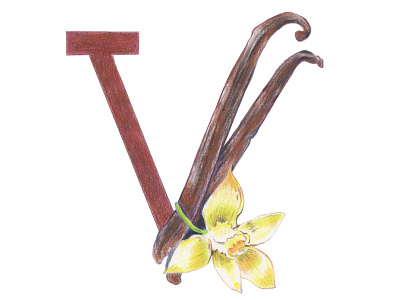 V is for Vanilla