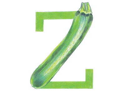Z is for Zucchini alphabet colored pencils hand drawn handlettering illustration lettering typography typography art veggie letter