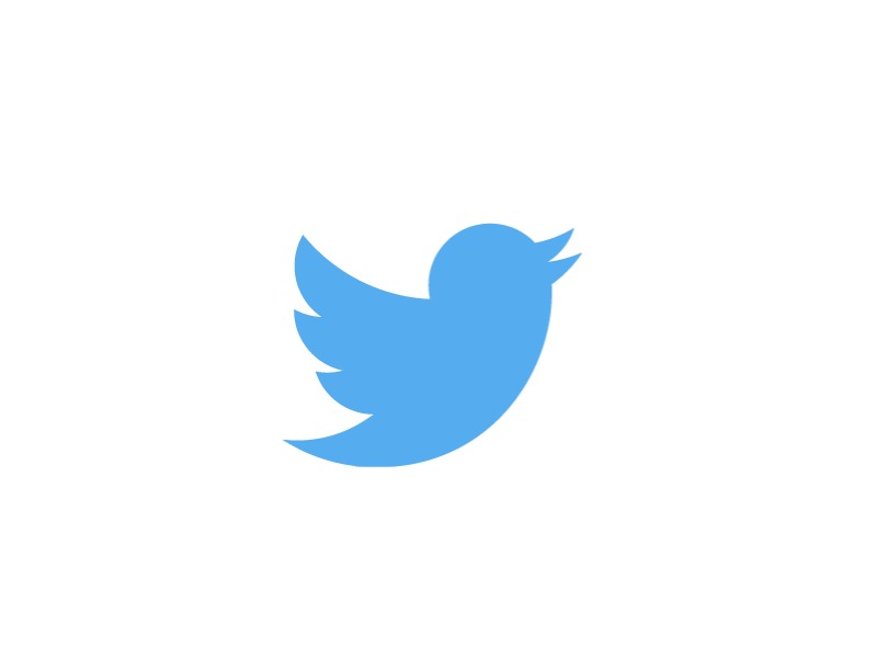 Twitter Logo Animation animation bird blue gif loading twitter wing