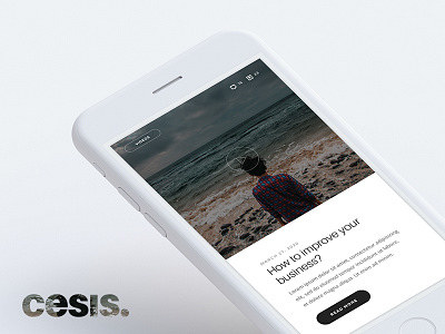 Cesis Agency Blog Design