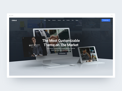 Landing Page Header for Cesis.co