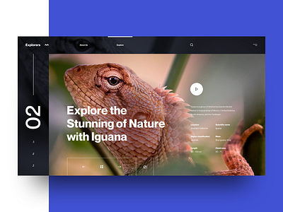 Explores :: Iguana blue cactus clean concept explorers explores header hero header minimal slide typography ui design