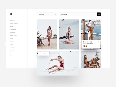 U. :: Photo Collections card card design clean clean layout creative creative layout dropdown envato hover hover style menu minimal photography popup search sidebar themeforest ui design web design white layout