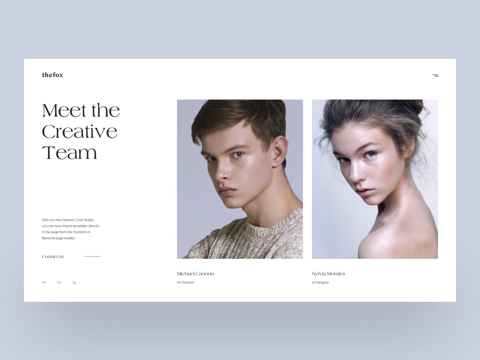 Thefox :: Meet The Team :: Layout Exploration by Tran Mau Tri Tam ✪