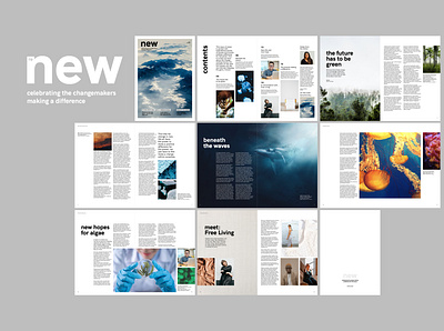 Renew Magazine Flatplan branding design graphic design layout logo magazine publication typography vector