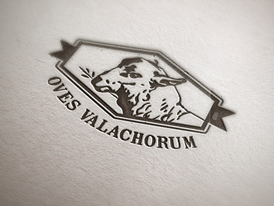 Oves Valachorum Logo Design cheese logo sheep