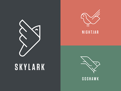 Ost Birds (WIP) birds hawk icon logos nightjar skylark