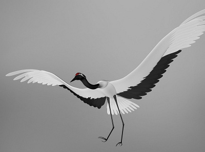 crane