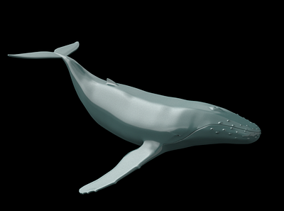 whale