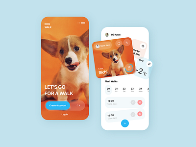Dog Walking App app application design figma ui ux webdesign