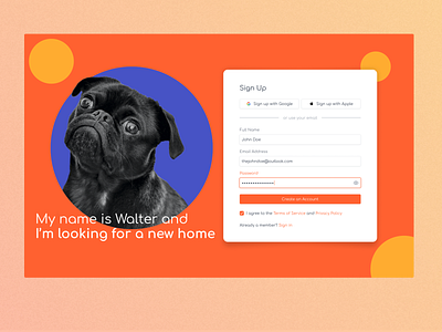Maratón UI #1 - Sign Up app design dog graphic design signup ui user interfac ux uxui webdesign