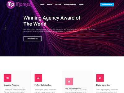 Wordpress Agency Landing Page