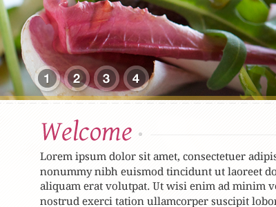 Ginger Restaurant website welcome food pink web