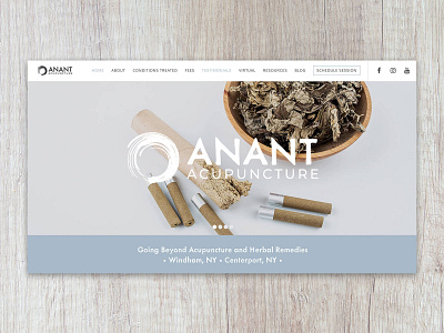 Anant Acupuncture website acupuncture calm health website wordpress