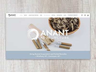 Anant Acupuncture website