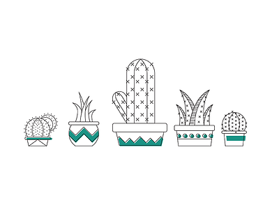 Succulents cacti illustration lines plants pots vector