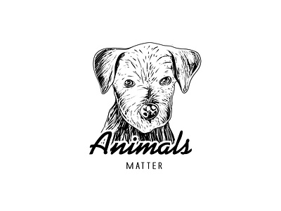 Animals Matter