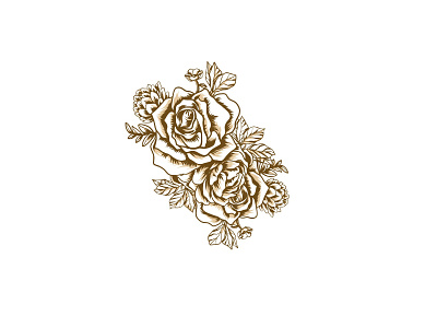 ROSES drawing drawings floral hand drawn illustration rose rose gold roses vintage vintage design vintage drawing