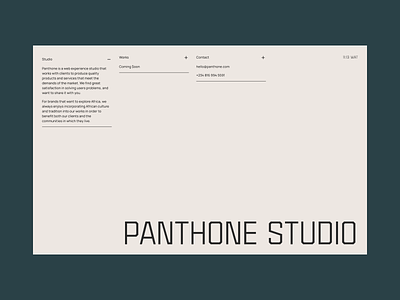 Panthone Studio Website app art art direction branding design illustration logo typography ui ux vector
