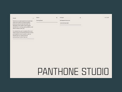 Panthone Studio Website