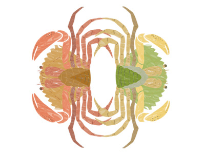 Crabs illustration wildlife