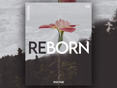 RiseTime 06 - Reborn collage design motivation possible poster poster art reborn