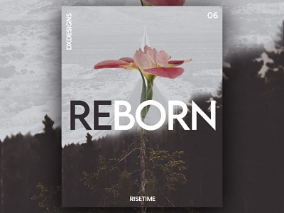 RiseTime 06 - Reborn