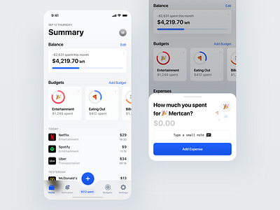 Budget App for iPhone app banking bugdet card clean dark design illustration ios iphone light minimal mobile money native night simple ui ux wallet