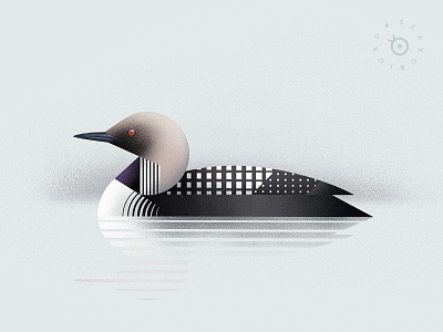 Pacific loon animal art deco bird digital painting diver geometric illustration loon modern natural history nature ornithology patterns plate