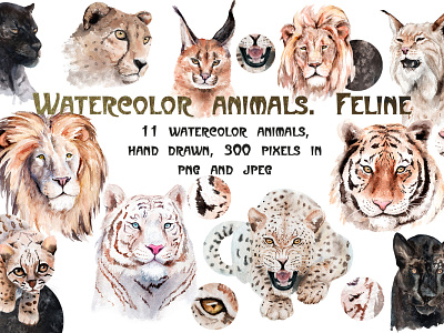 Wild cats animal art cat feline hand drawn illustration watercolor