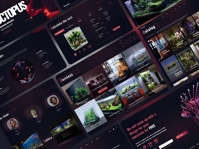 Aquarium Workshop//Part 2 branding concept design design e commerce homepage homepage design interface ui ux webdesign