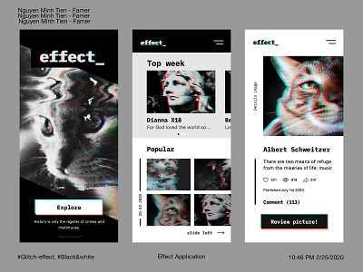 Effect Analysis Application black and white cat distort glitch rectangle xd