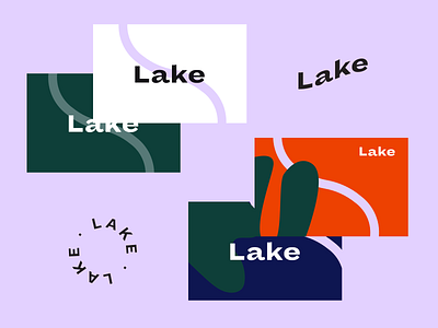 Lake Wealth visual exploration v2