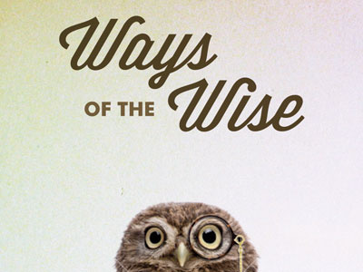 Ways of the Wise Comp blocked comp owl photoshop reject rejection script wisdom script