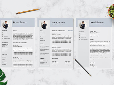 Elegant Resume Design advertising clean minimal resume cv cv template design minimal minimalist resume resume template