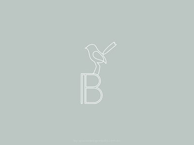 BIRD brand design brand identity branding contemporary custom design illustration line art minimal organic simple typography