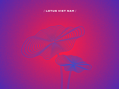 LOTUS - VIETNAM artwork branding design exhibition design icon illustration lotus non la vector viet nam