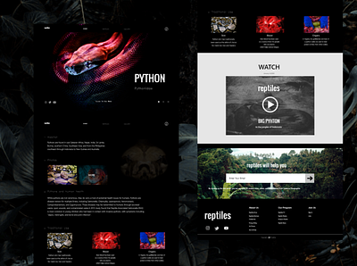 Design UI For Website. Name Of The Website Is reptiles animal animals app design designer graphic design illustrator logo ui uiux ux web website