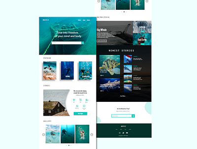 UI Design For Website related to the sea and holiday at sea animals app design logo news sea travel typography ui uiux ux web