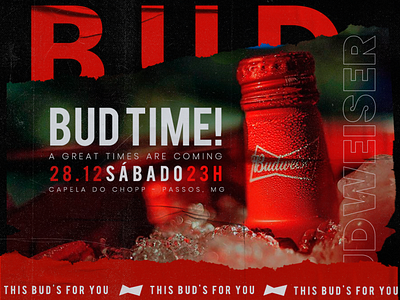 BudTime! Budweiser Event design web