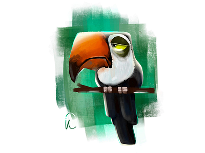 Toucan art bird illustration illustrator procreate toucan