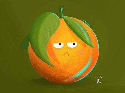 grumpy Orange adobe fresco fruit grumpy illustration orange