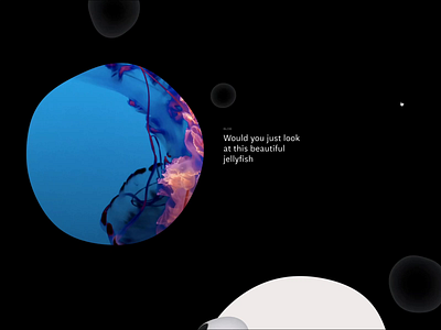 Blob Explorations animation blob bubble creative design development experience hack interactive jellyfish lab studio website